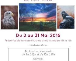 16 05 03 exposition a wangenbourg engenthal