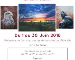 16 06 01 exposition wangenbourg engenthal