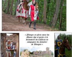 16 07 05 wangenbourg engenthal visite du chateau