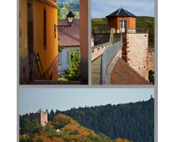 2017 05 03 suisse d alsace programme des animations mai 2017