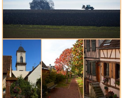 2017 06 01 wasselonne animations juin 2017