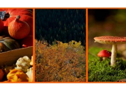 2017 10 05 agenda suisse d alsace octobre 2019