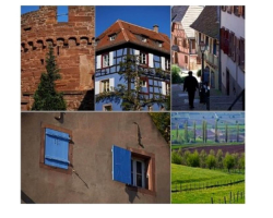 2017 10 30 suisse d alsace calendrier des animations novembre 2017